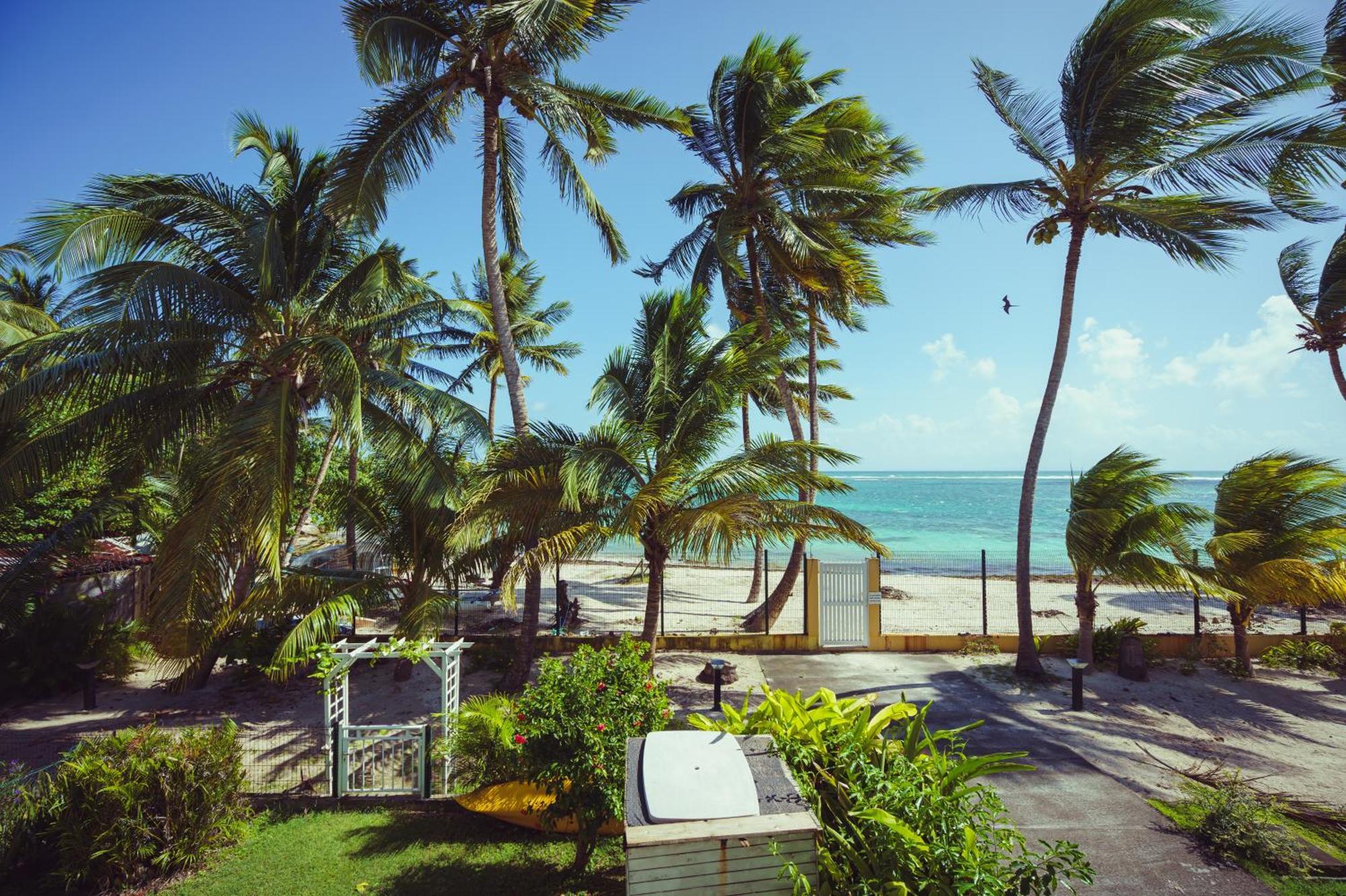 Le Touloublue - Tres Bel Appartement Face A La Mer Sainte-Anne  Exterior foto